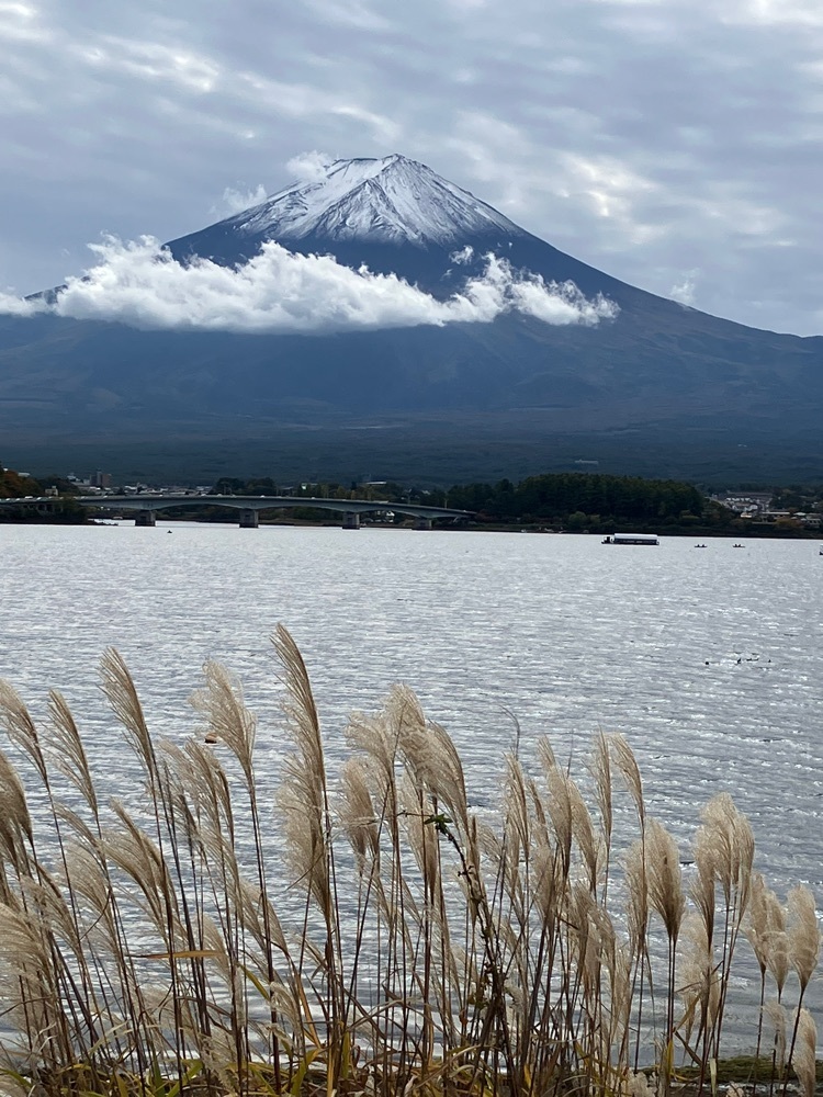 Nさんが投稿した河口湖湖畔遊歩道に関する口コミの画像
