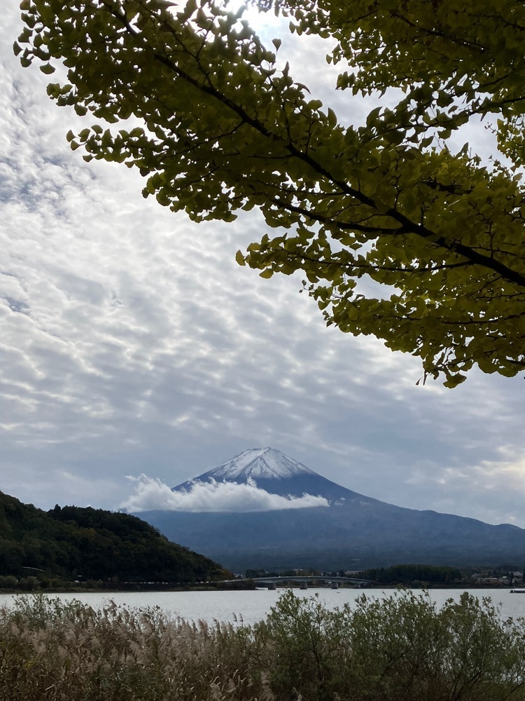 Nさんが投稿した河口湖湖畔遊歩道に関する口コミの画像