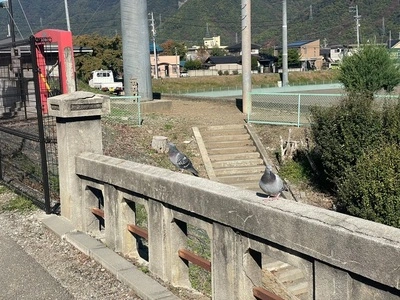 上田城跡