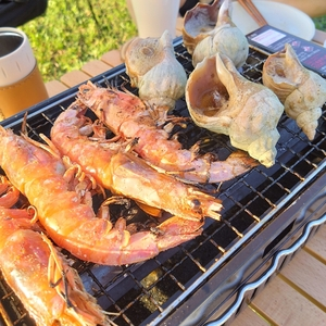 小平町望洋台キャンプ場