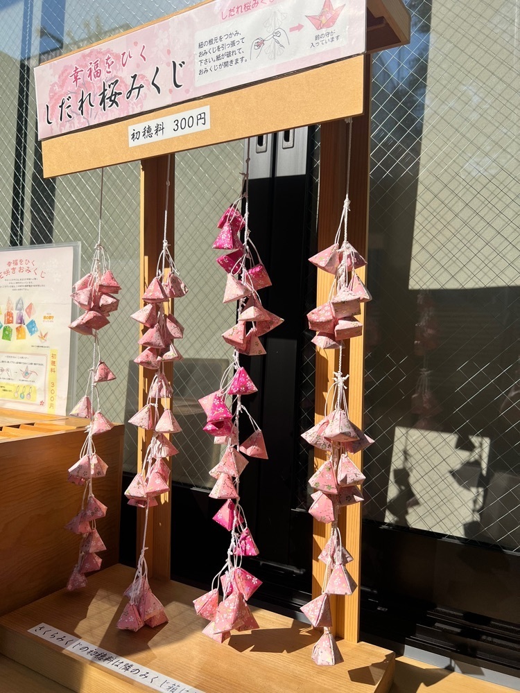 そしじさんが投稿した桜神宮に関する口コミの画像