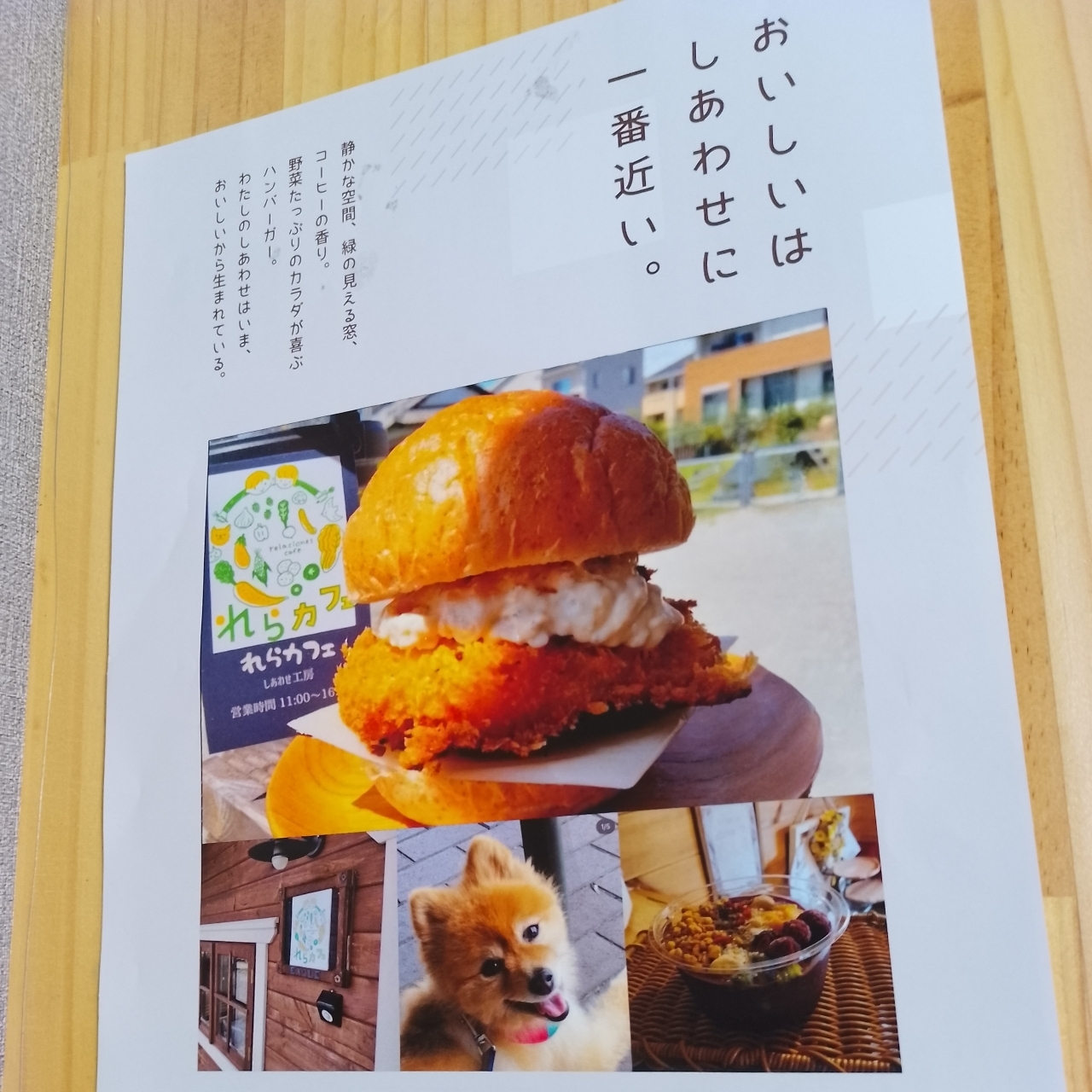 のんびりんこさんが投稿したカネザワフルーツリゾートに関する口コミの画像