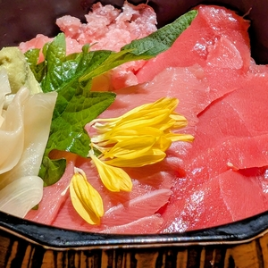 旬魚 左阿彌 錦店（さあみ）