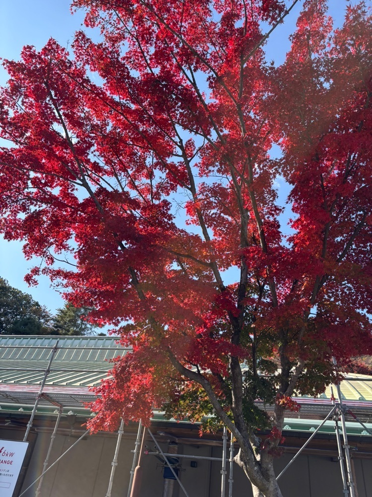 それなはとけさんが投稿した水沢観音千手堂に関する口コミの画像