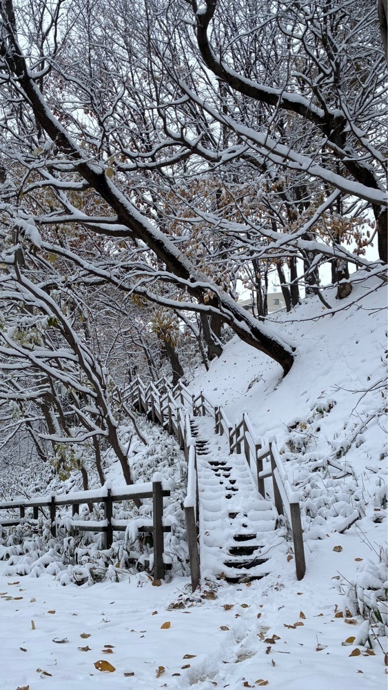 マサぴょんさんが投稿した相馬神社に関する口コミの画像