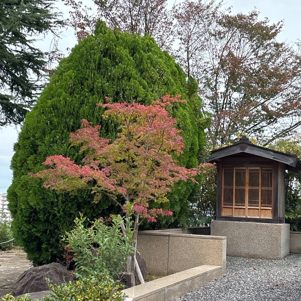 Danjouさんが投稿したリンガーハット 大阪狭山店（Ringer Hut）に関する口コミの画像