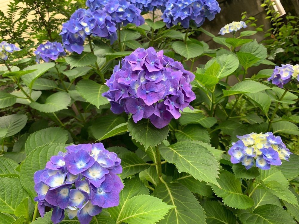 ＪＵNさんが投稿した高島屋 横浜店に関する口コミの画像