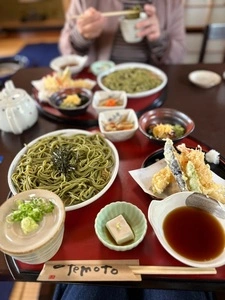 櫟（くぬぎ）