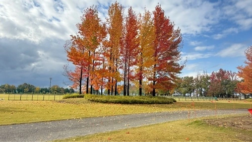 富山県総合運動公園陸上競技場