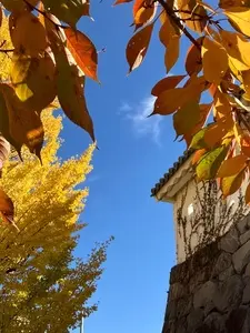 甲府市歴史公園