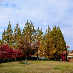 ひばり公園