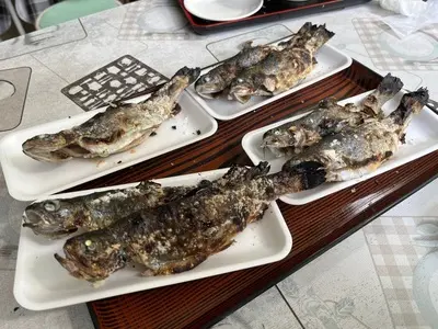 あしがくぼ渓谷国際釣場