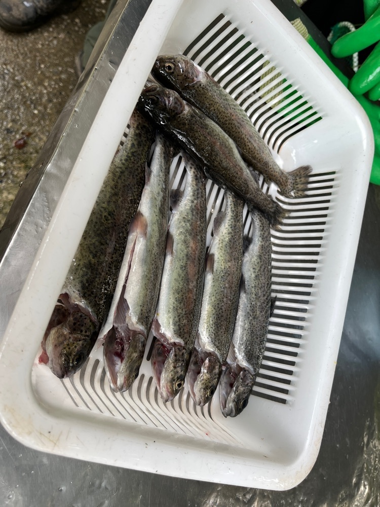 MakiMatsumuraさんが投稿したあしがくぼ渓谷国際釣場に関する口コミの画像