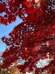 大池公園 3枚目
