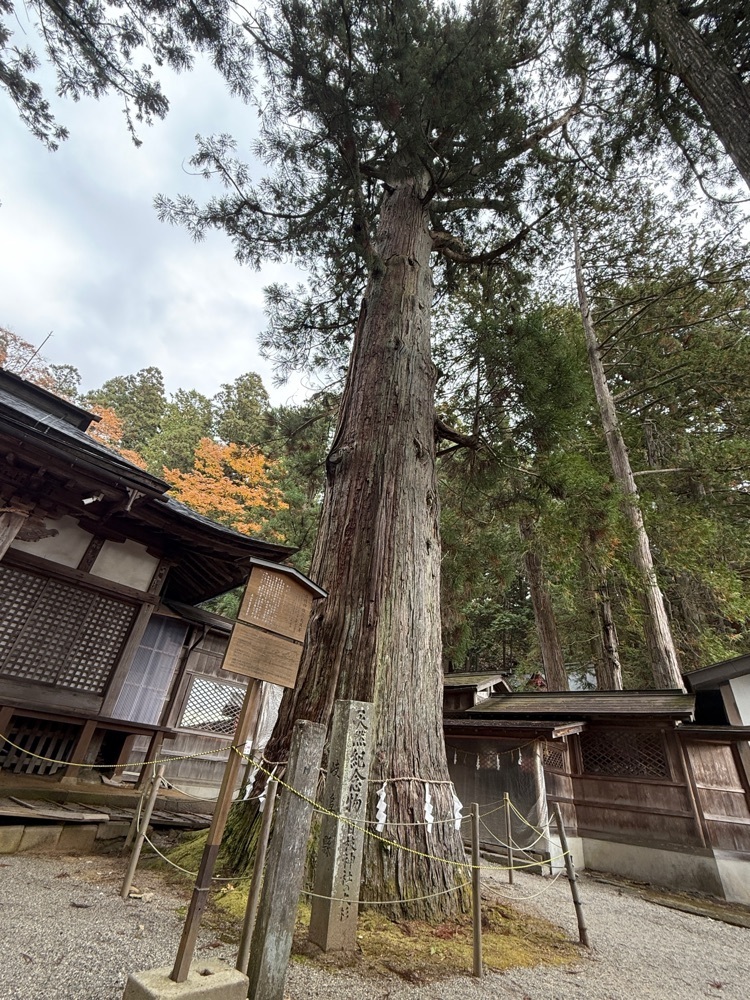 hirokororinさんが投稿した日枝神社に関する口コミの画像