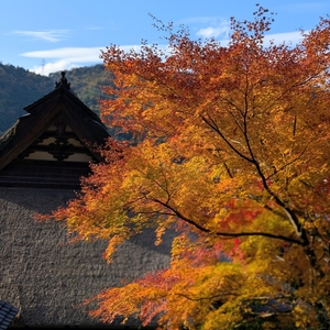 萬徳寺庭園