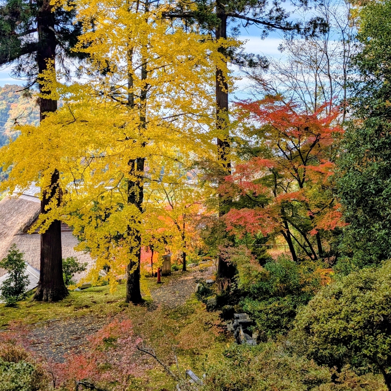 ぬっくさんが投稿した萬徳寺庭園に関する口コミの画像