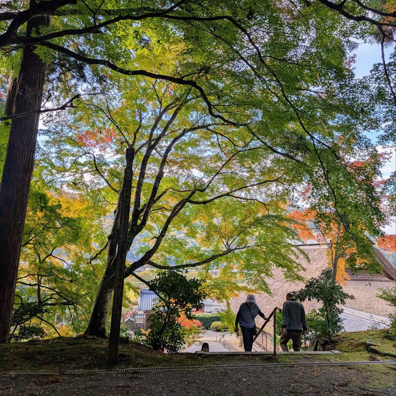 ぬっくさんが投稿した萬徳寺庭園に関する口コミの画像