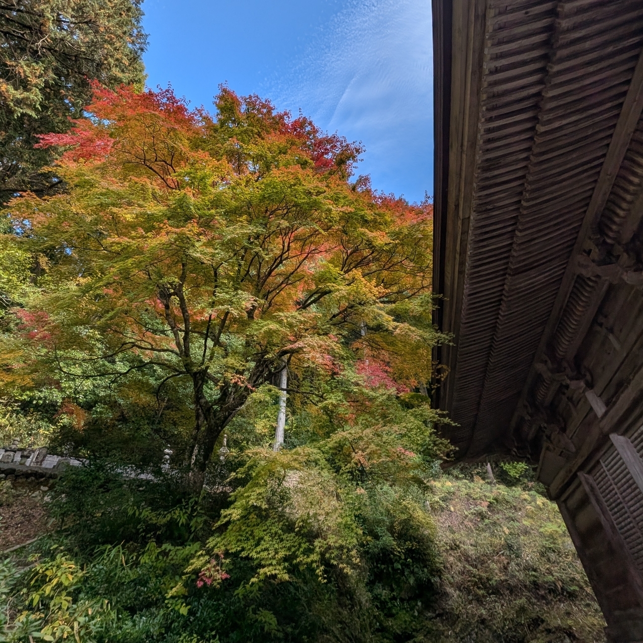 ぬっくさんが投稿した萬徳寺庭園に関する口コミの画像