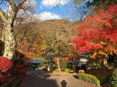 大沢温泉