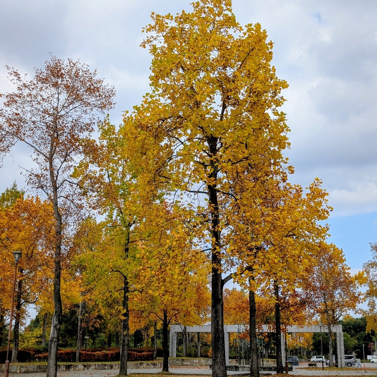 ぬっくさんが投稿したひばり公園に関する口コミの画像