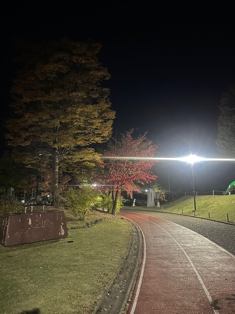 nostalgic_hiking_bca8さんが投稿した東御中央公園に関する口コミの画像