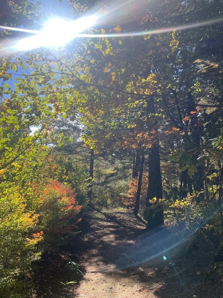nostalgic_hiking_bca8さんが投稿した臼田総合運動公園マレットゴルフコースに関する口コミの画像