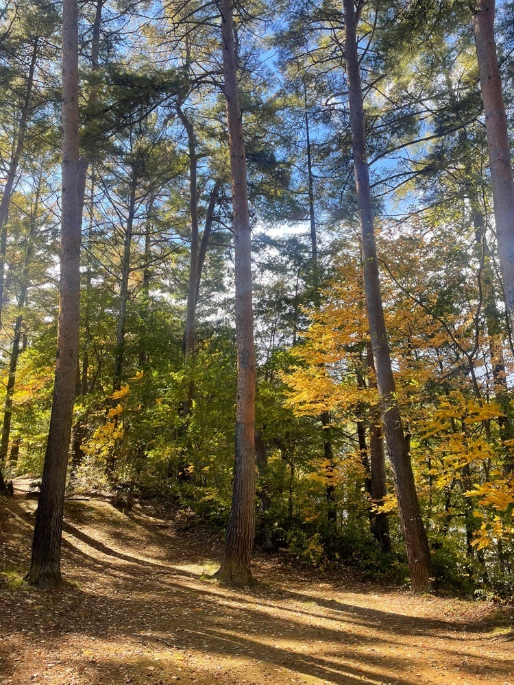 nostalgic_hiking_bca8さんが投稿した臼田総合運動公園マレットゴルフコースに関する口コミの画像