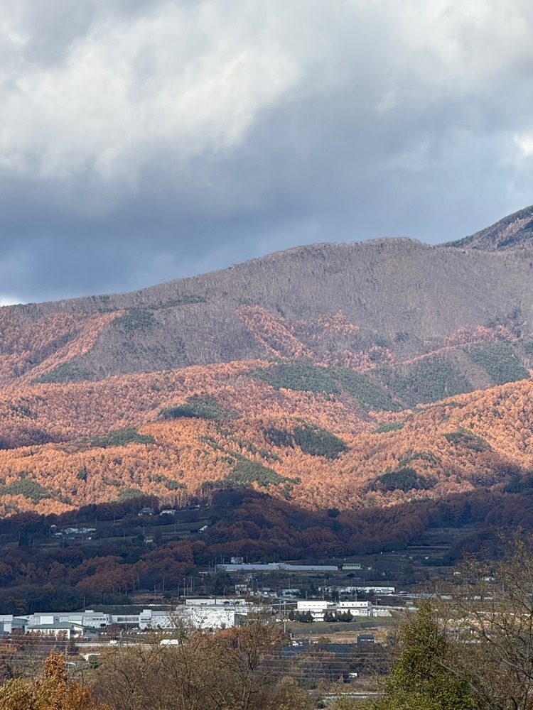jun1216さんが投稿した小諸市営火山館に関する口コミの画像