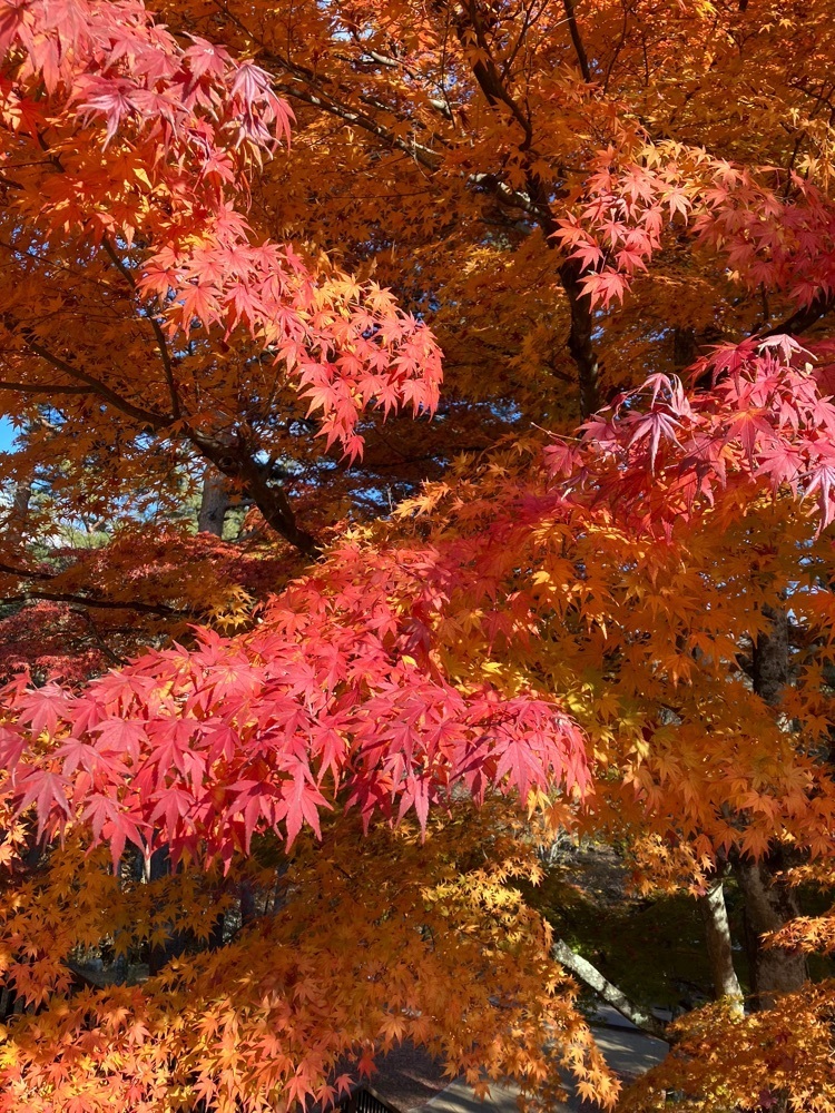 Nさんが投稿した鐘山の滝に関する口コミの画像