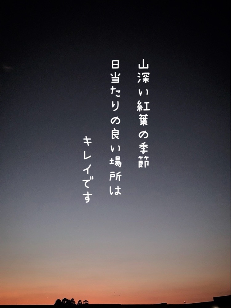 兎きち さんが投稿した御池の紅葉に関する口コミの画像