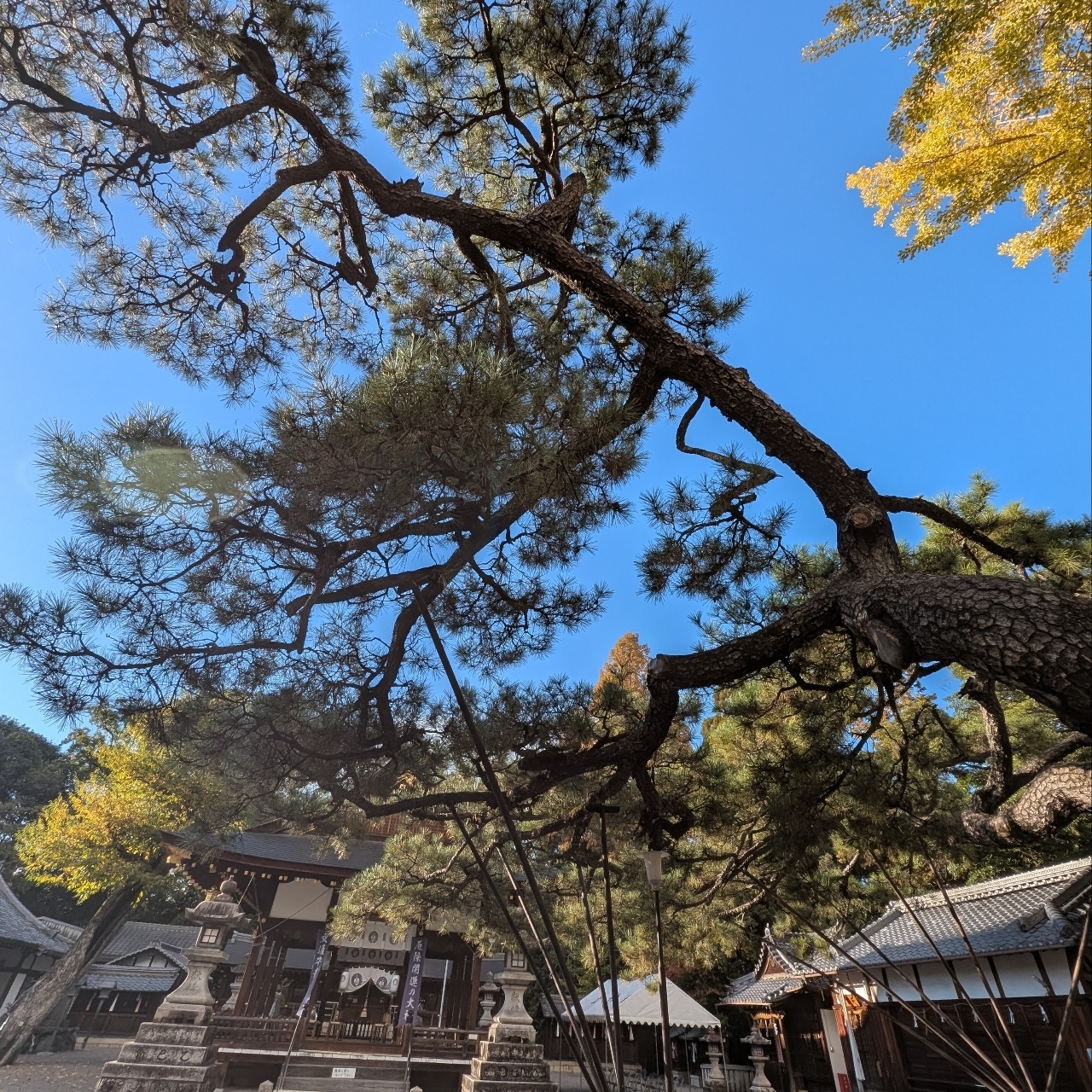 ぬっくさんが投稿した県内最古の道標（立木神社境内）に関する口コミの画像
