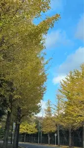 駿河平自然公園