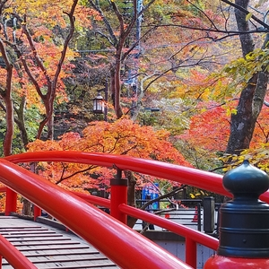 河鹿橋