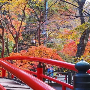河鹿橋