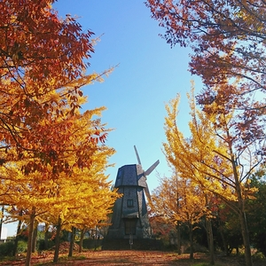 見沼元圦公園