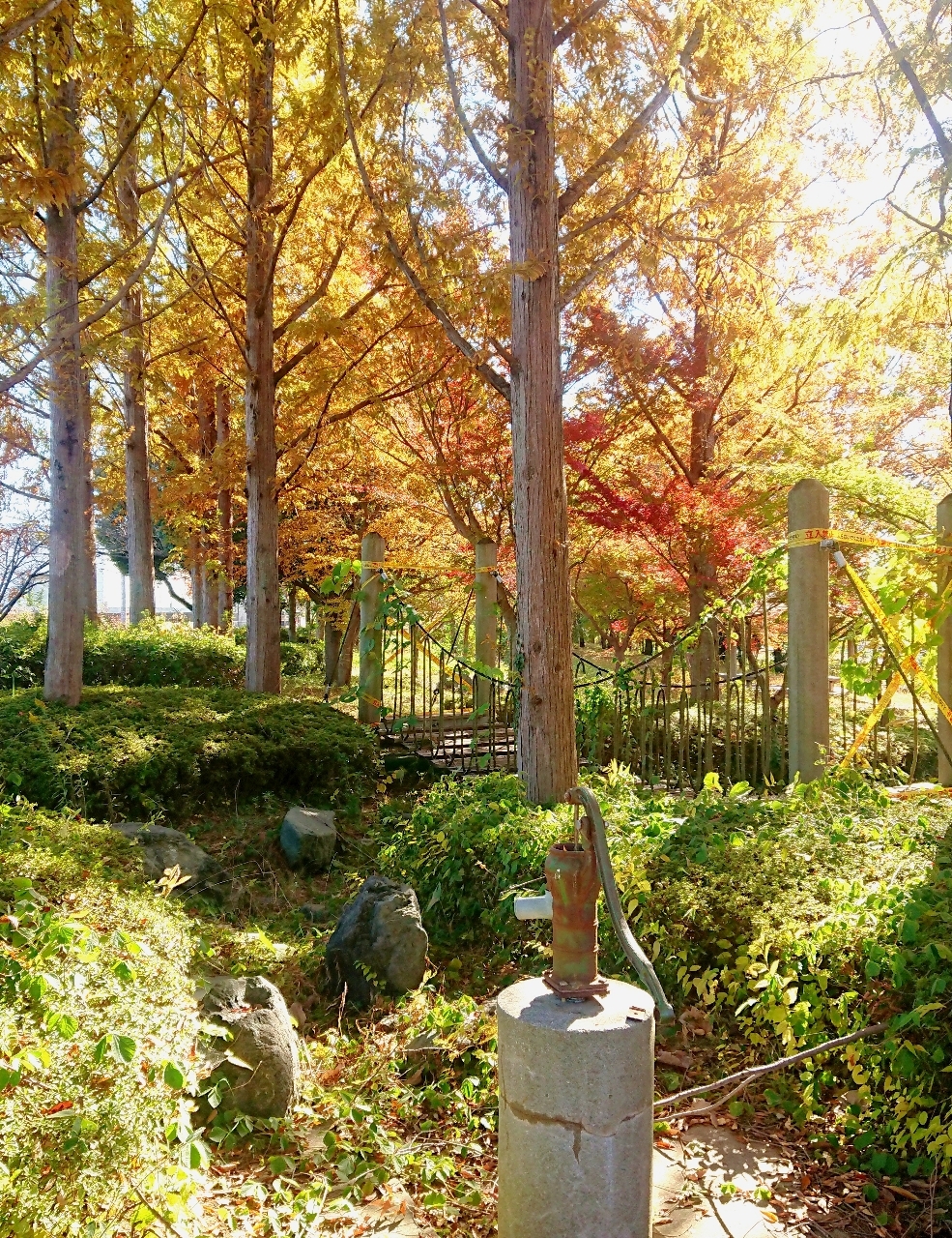 見沼元圦公園
