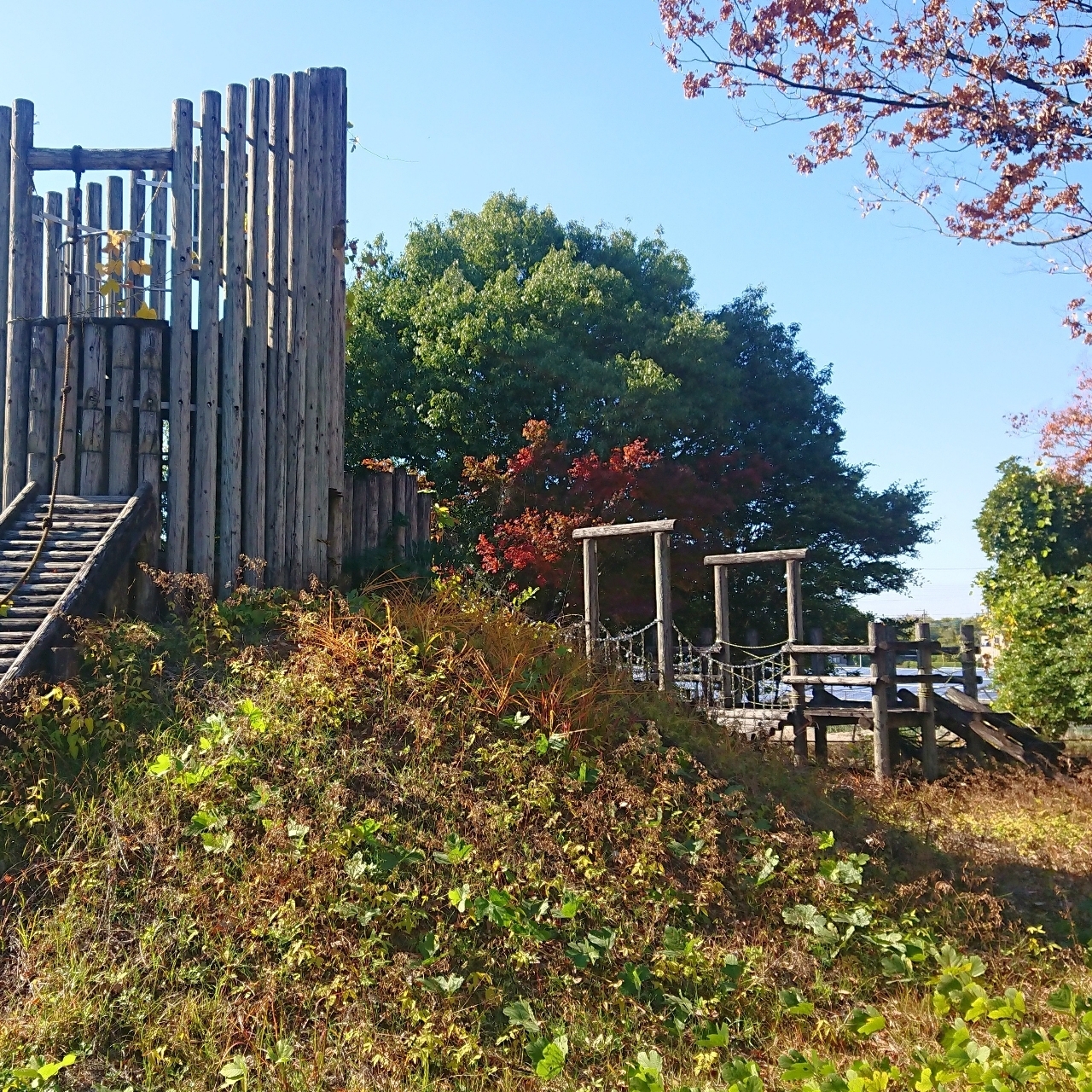 ℍ𝕚𝕤𝕒𝕞𝕒𝕣𝕦-𝕔𝕙𝕒𝕟さんが投稿した見沼元圦公園に関する口コミの画像