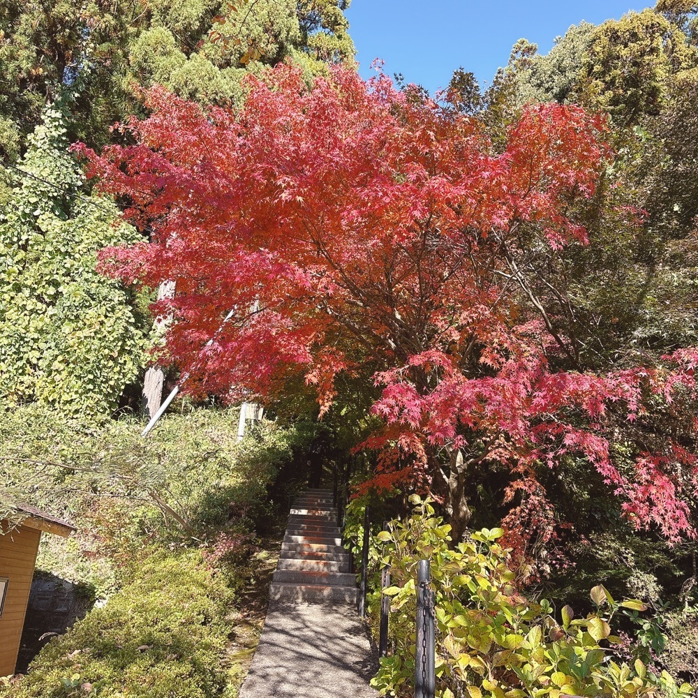 Danjouさんが投稿した賤ケ岳リフトに関する口コミの画像