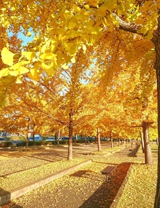 加須はなさき公園