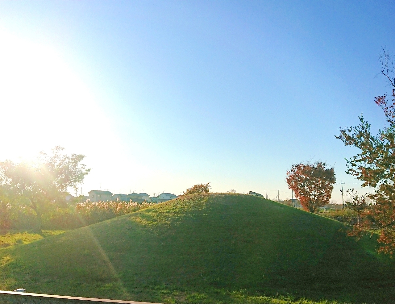 ℍ𝕚𝕤𝕒𝕞𝕒𝕣𝕦-𝕔𝕙𝕒𝕟さんが投稿した加須はなさき公園に関する口コミの画像
