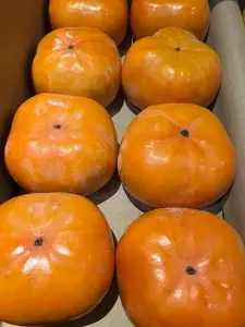 ＪＡ愛知東東栄直売所