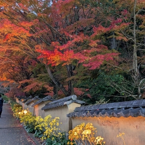 松平郷
