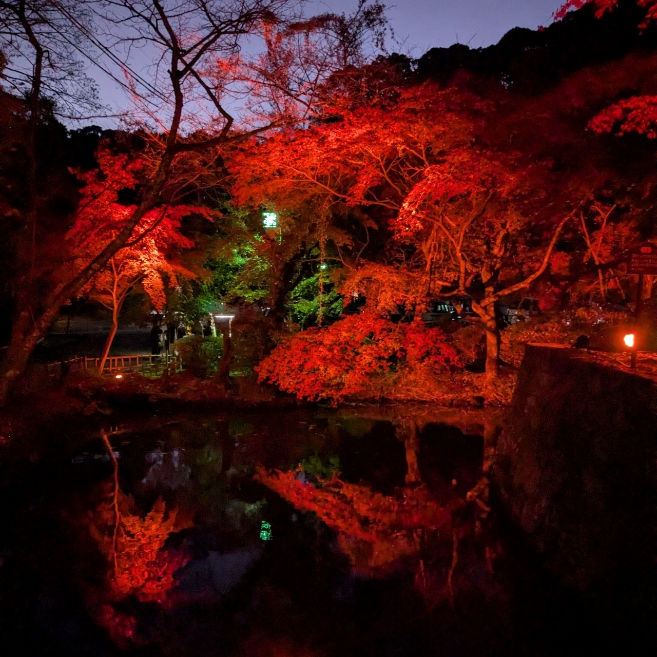 ひびきさんが投稿した松平郷に関する口コミの画像