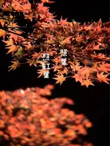 青井岳温泉