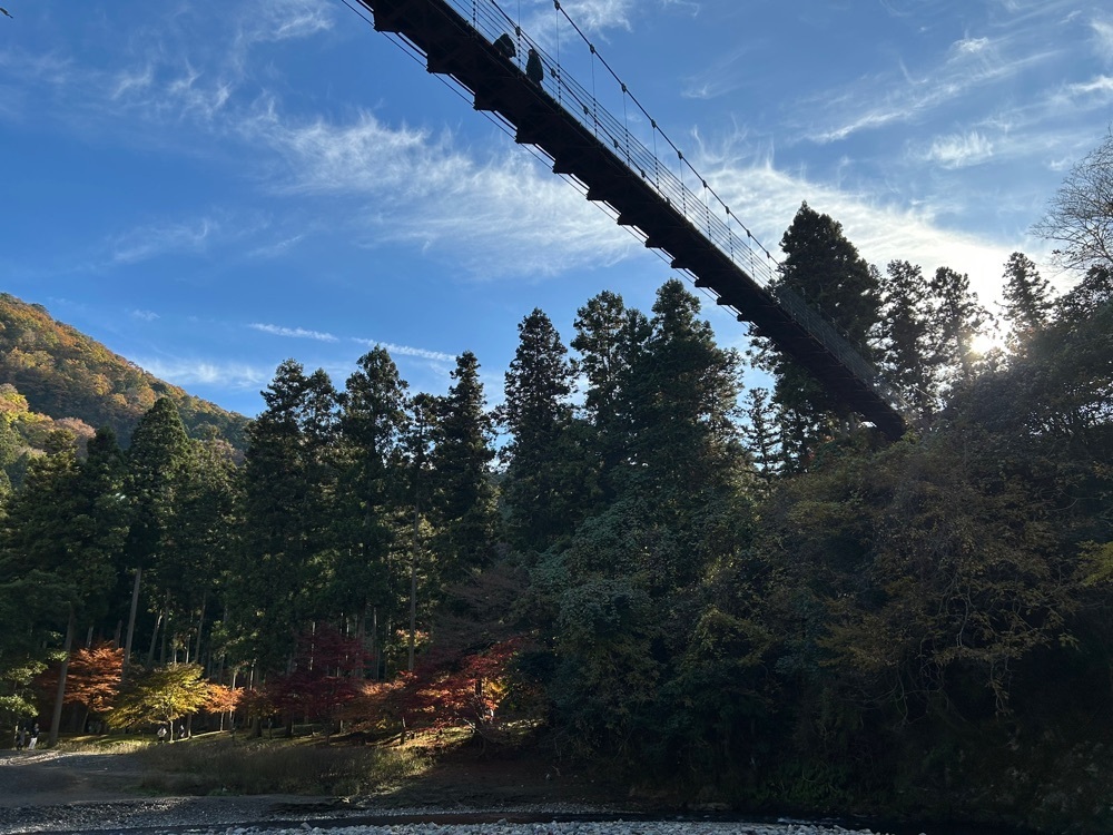 real_hiking_13e4さんが投稿した多良峡森林公園に関する口コミの画像