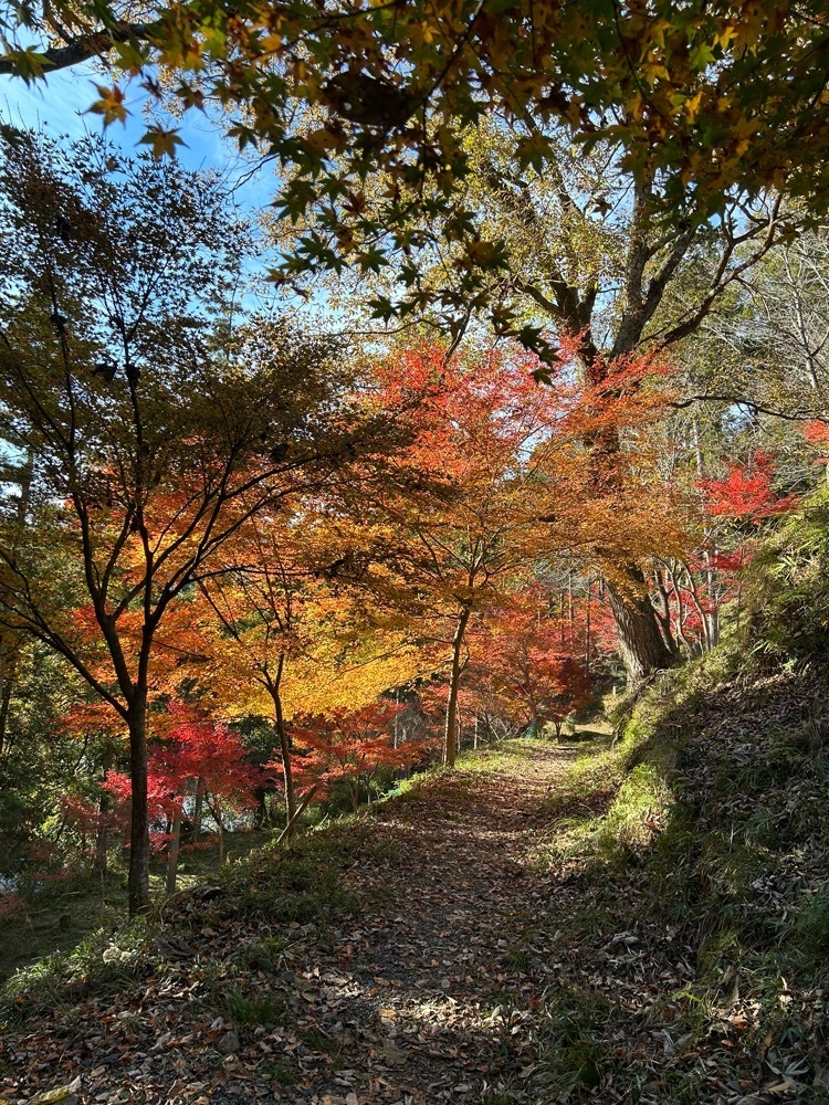 real_hiking_13e4さんが投稿した多良峡森林公園に関する口コミの画像