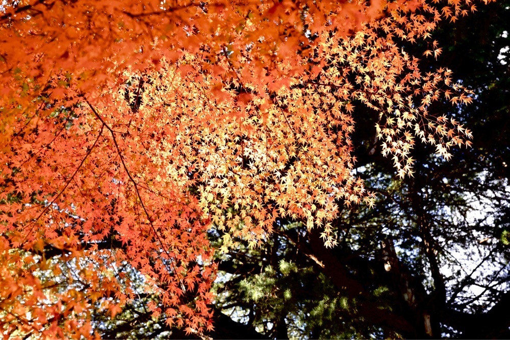 まさまさ　さまさんが投稿した那須塩原市役所に関する口コミの画像