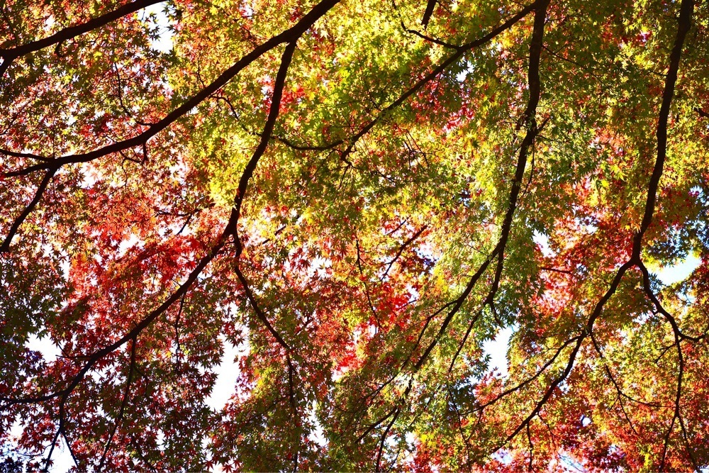まさまさ　さまさんが投稿した那須塩原市役所に関する口コミの画像