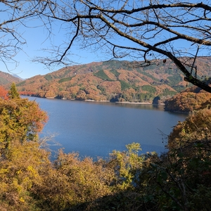 草木湖